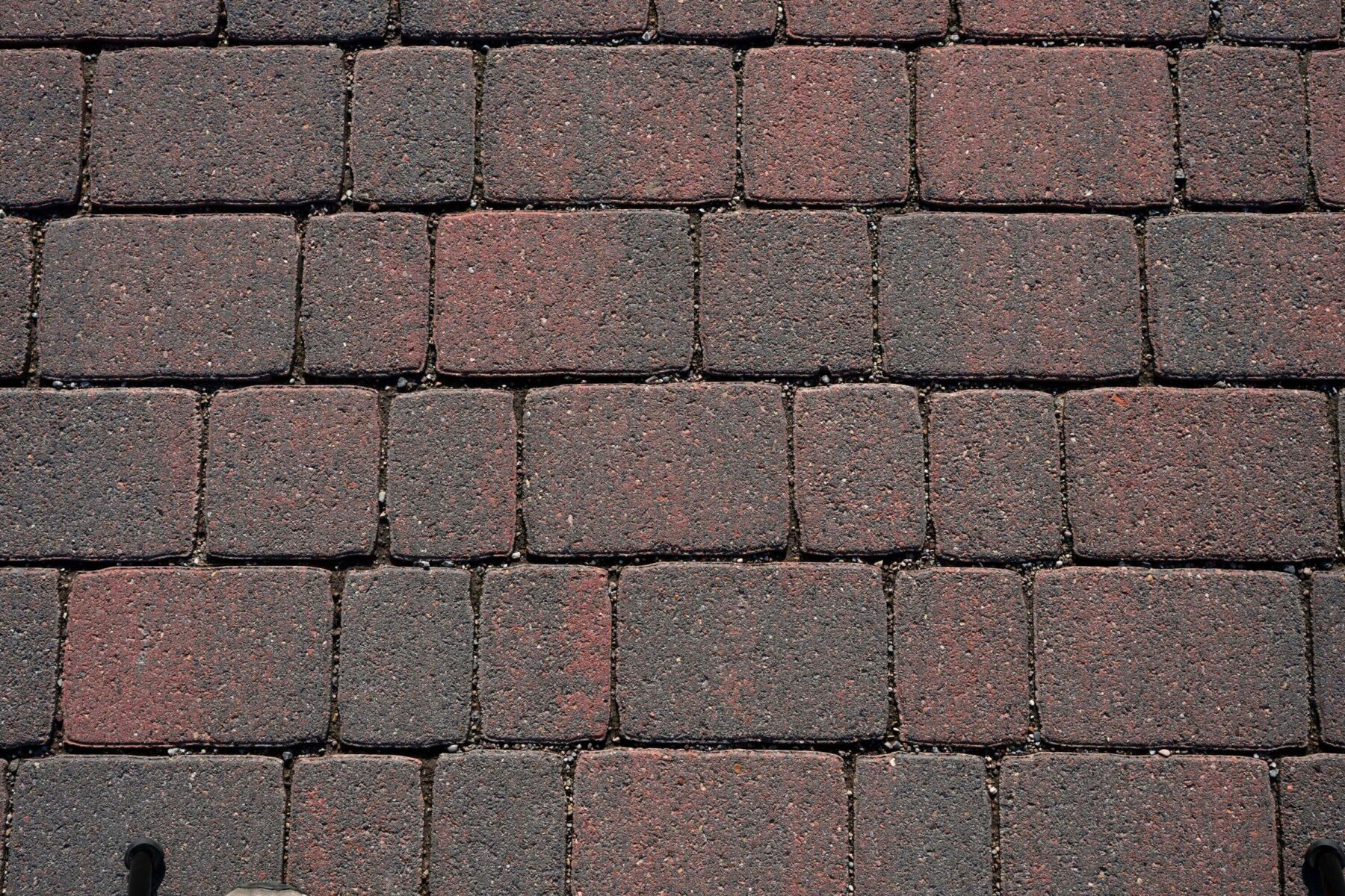 Referenzbild Rotbunt