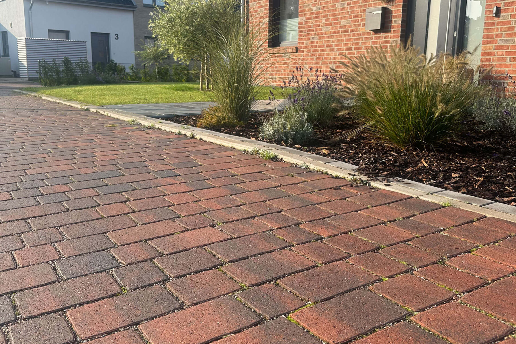 Referenzbild Rotbunt