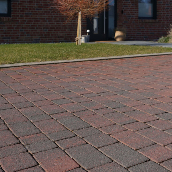 Referenzbild Rotbunt