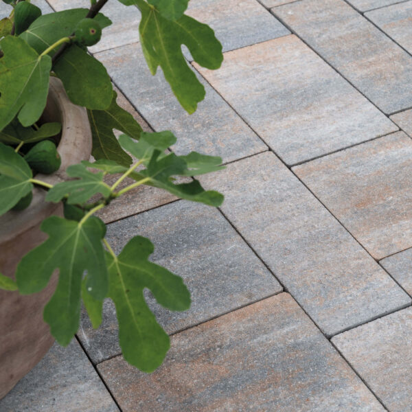 Referenzbild Muschelkalk