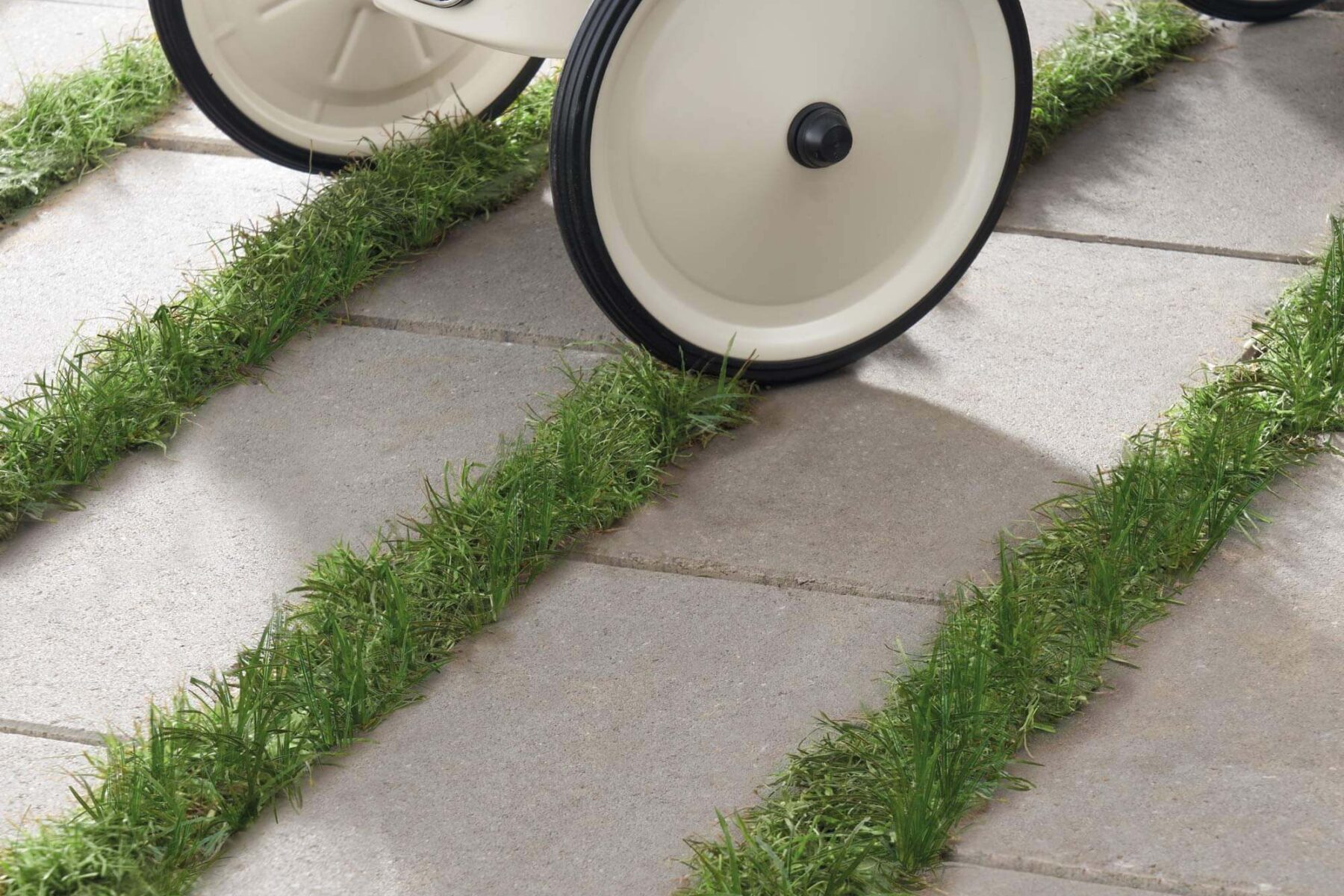 Referenzbild Rasenfuge