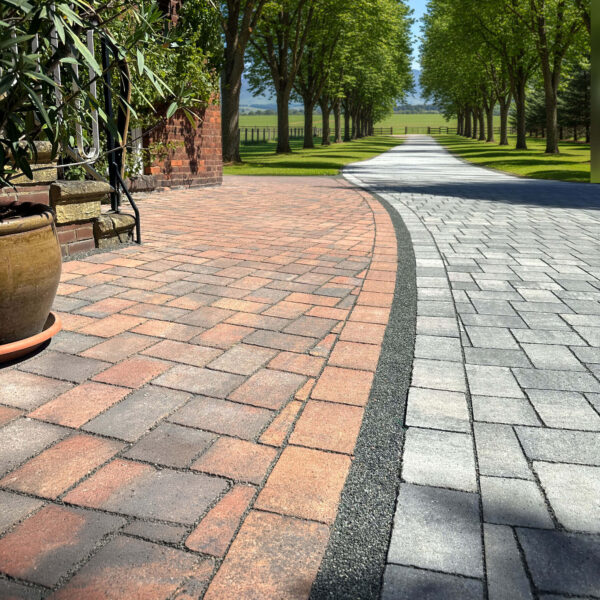 Referenzbild Herbstlaub mit Swart