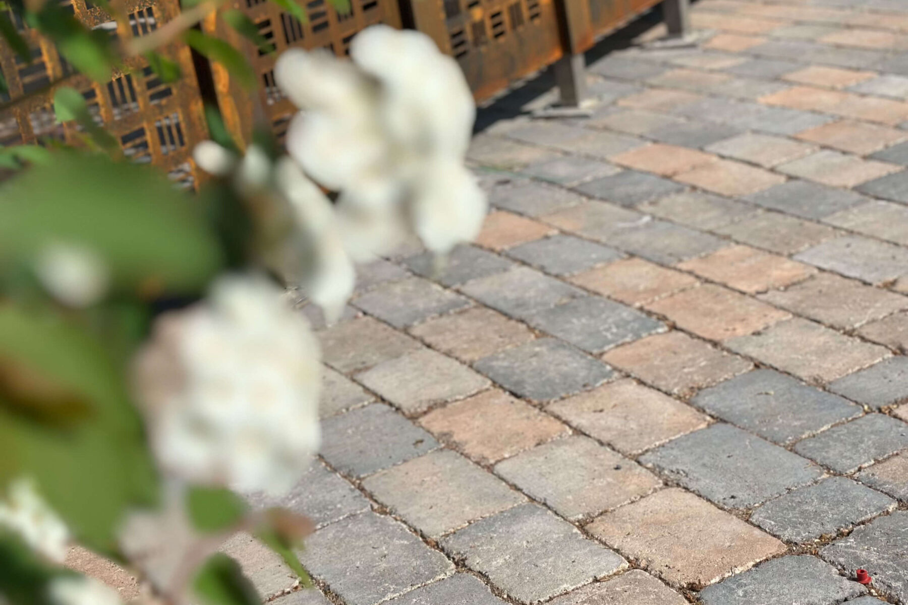 Schaumburger Rustikal gerumpelt