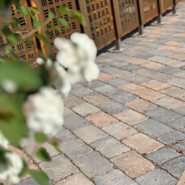 Referenzbild Muschelkalk