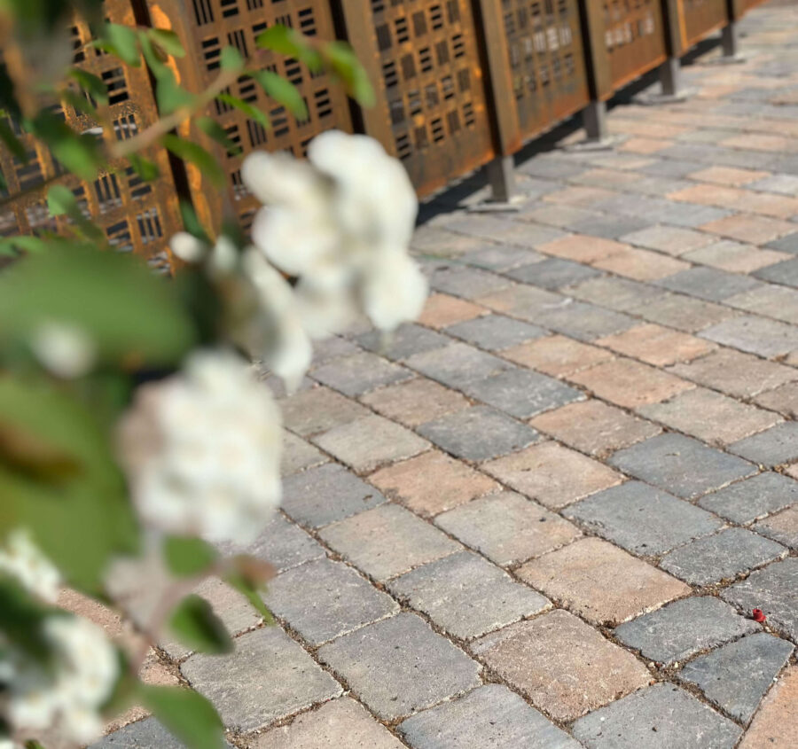 Referenzbild Muschelkalk